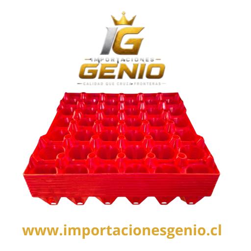 Bandejas Recolectoras de Huevos