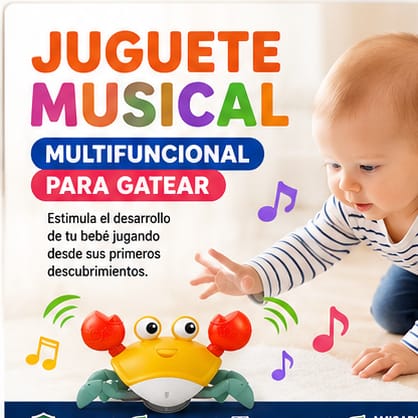 CANGREJO CAMINADOR MONTESSORI CON PILAS