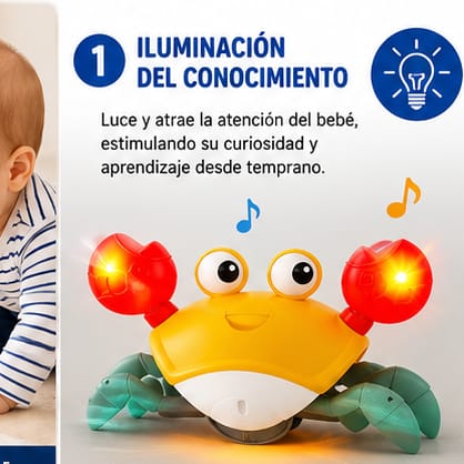 CANGREJO CAMINADOR MONTESSORI CON PILAS