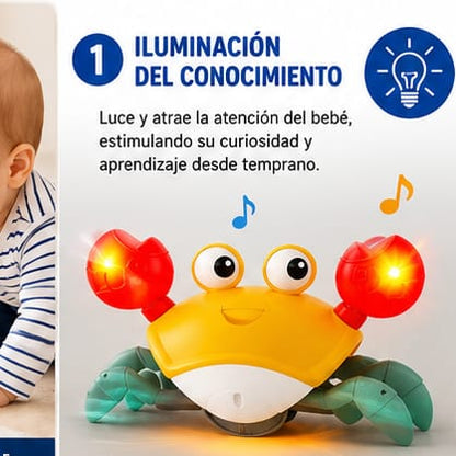 CANGREJO CAMINADOR MONTESSORI CON PILAS