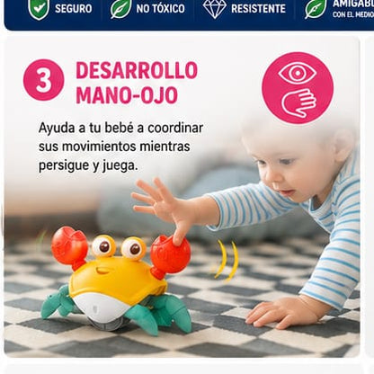 CANGREJO CAMINADOR MONTESSORI CON PILAS