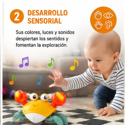 CANGREJO CAMINADOR MONTESSORI CON PILAS