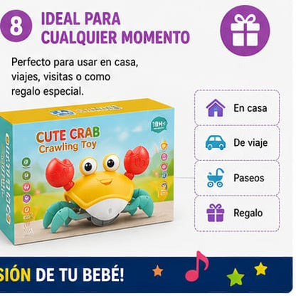 CANGREJO CAMINADOR MONTESSORI CON PILAS