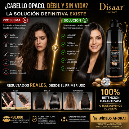 Shampoo pinta Canas Dissar